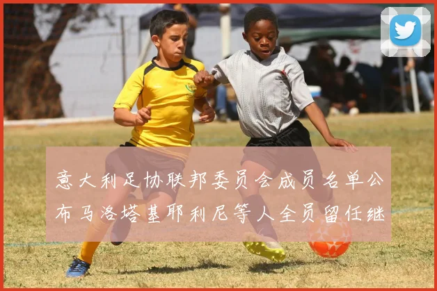 意大利足协联邦委员会成员名单公布马洛塔基耶利尼等人全员留任继续服务